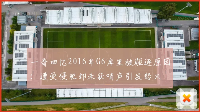 一哥回忆2016年G6库里被驱逐原因：遭受侵犯却未获哨声引发怒火